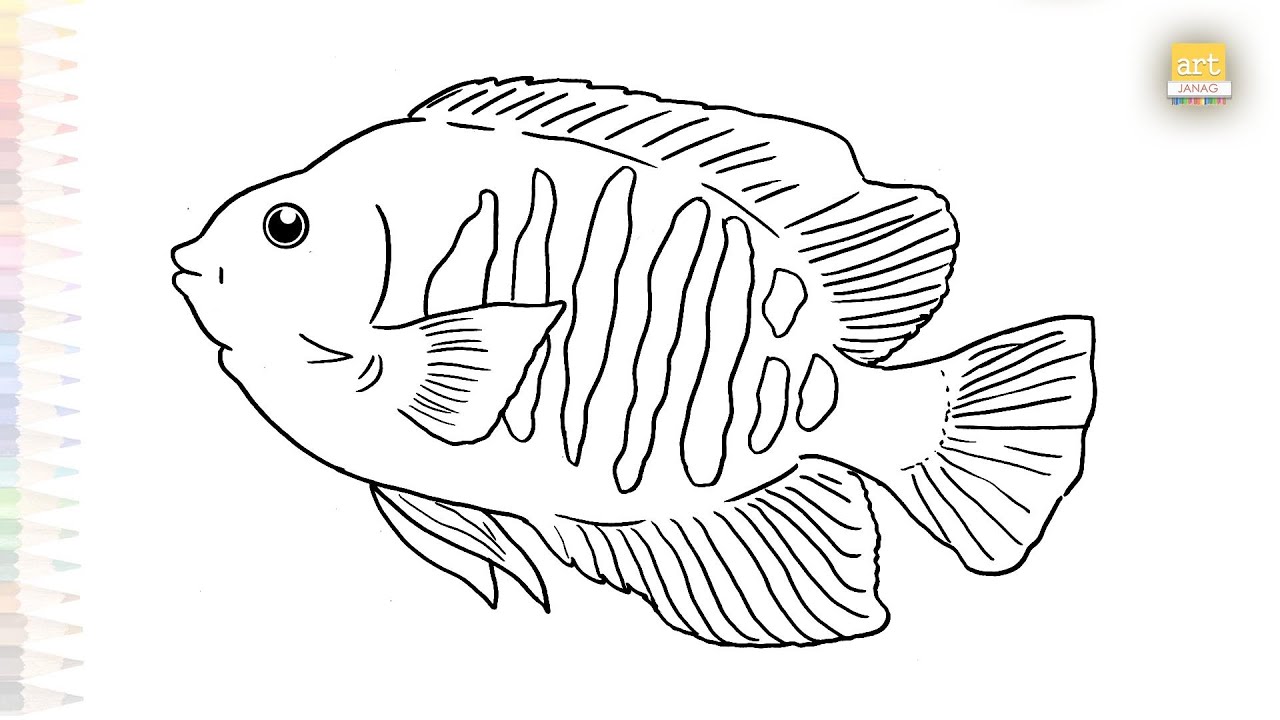 Flame Angelfish drawings | Art tutorial | How to draw an Flame Angelfish step by step | #artjanag