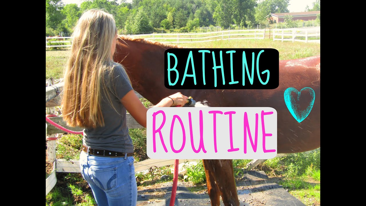MY HORSES BATHING ROUTINE