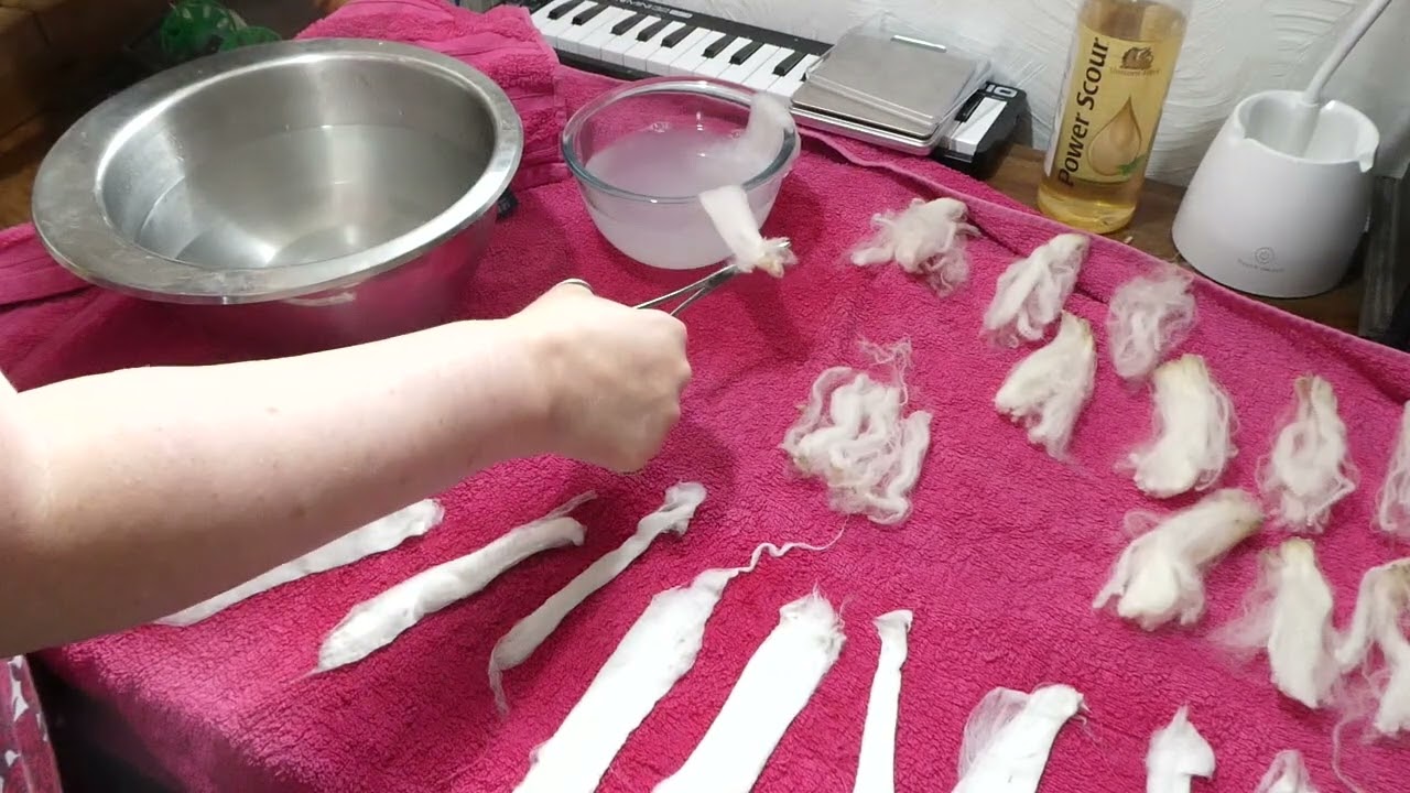 Washing superfine fleece a lock at a time