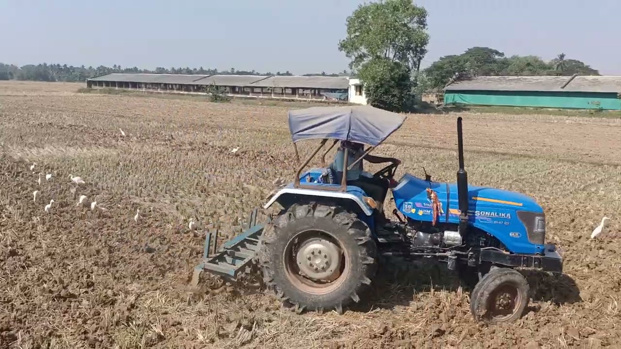 It's time for pulses......... 