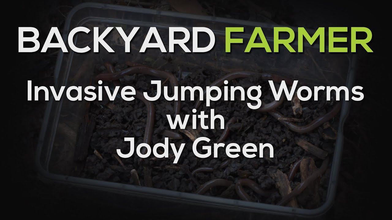 Jumping Worms