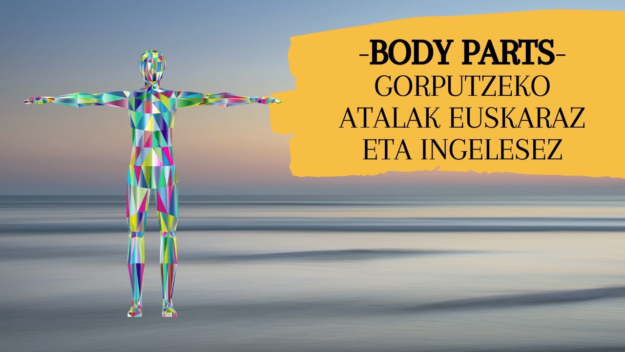 Body Parts | Gorputzeko atalak euskaraz eta ingelesez