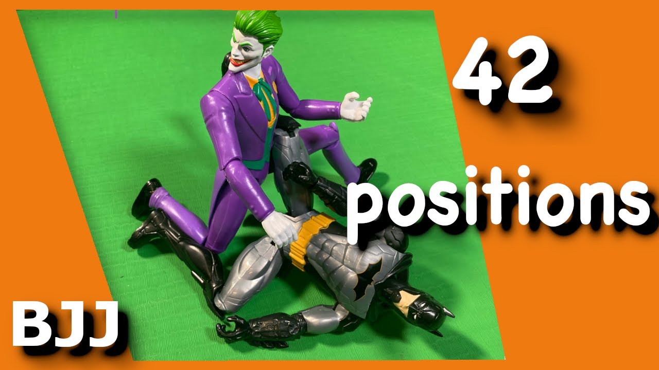 42 BJJ positions