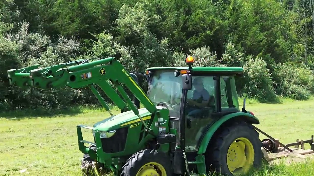 Mowing 2025