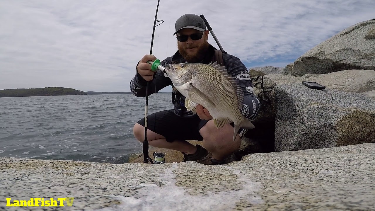 Landbased fishing Batemans Bay NSW
