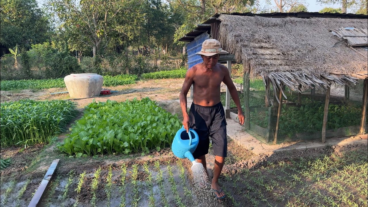 មកដល់ចំការអ៊ំទៀតហើយថ្ងៃនេះ