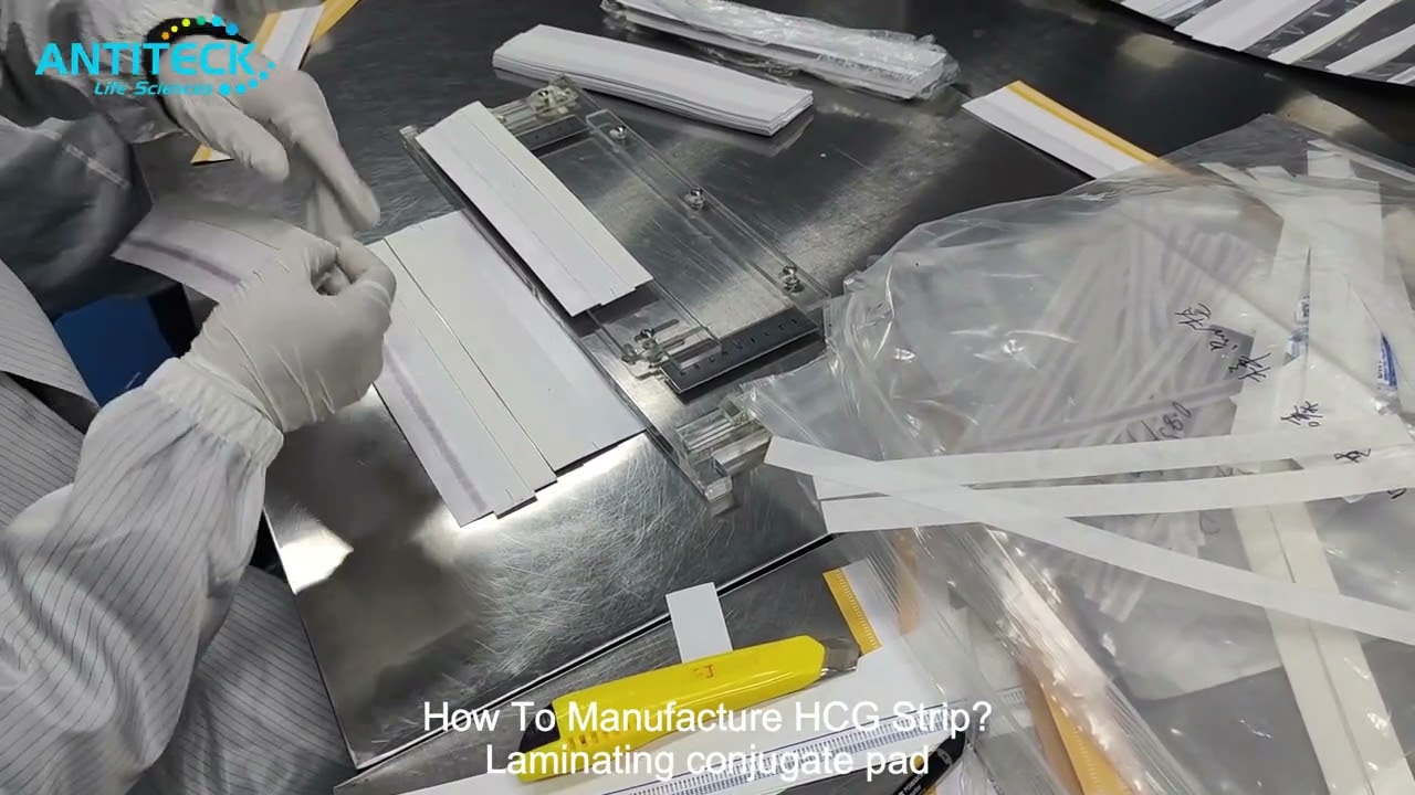 How To Manufacture HCG Strip? How To Make Urine Pregnancy Test Strip? HCG Urine Test Strip -ANTITECK