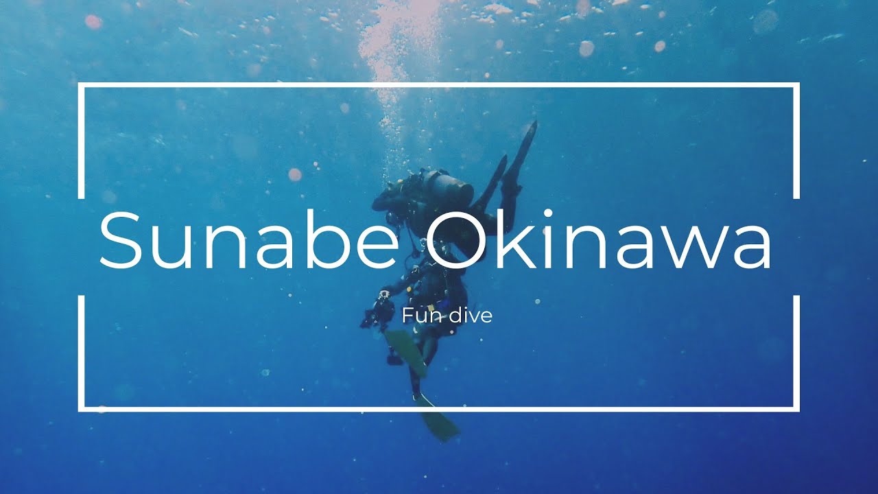 🌊 沖繩砂邊 Fun Dive 潛水｜靜謐而深刻的海底體驗