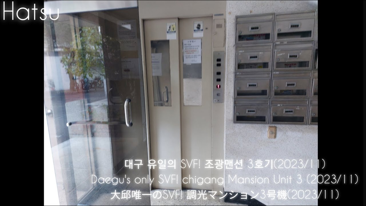 [엘베영상] 대구광역시 수성구 조광맨션 금성엘리베이터 SVF 3호기