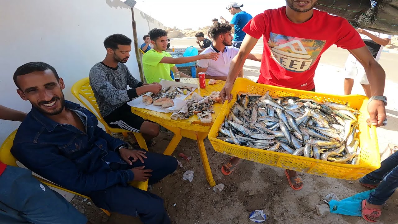 أجواء ميناء طرفاية بعد دخول بواخر السردينThe atmosphere of Tarfaya port after entering the sardine