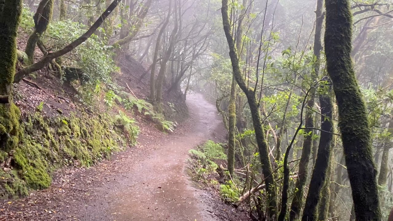 ⛰️ Cruz del Carmen ➡️ Chinamada ➡️ Punta del Hidalgo