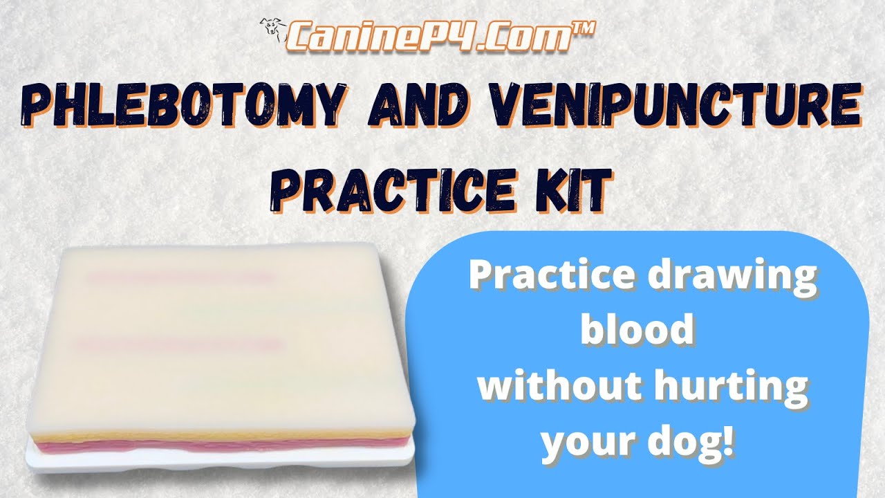 Phlebotomy and Venipuncture Practice Kit | Demo