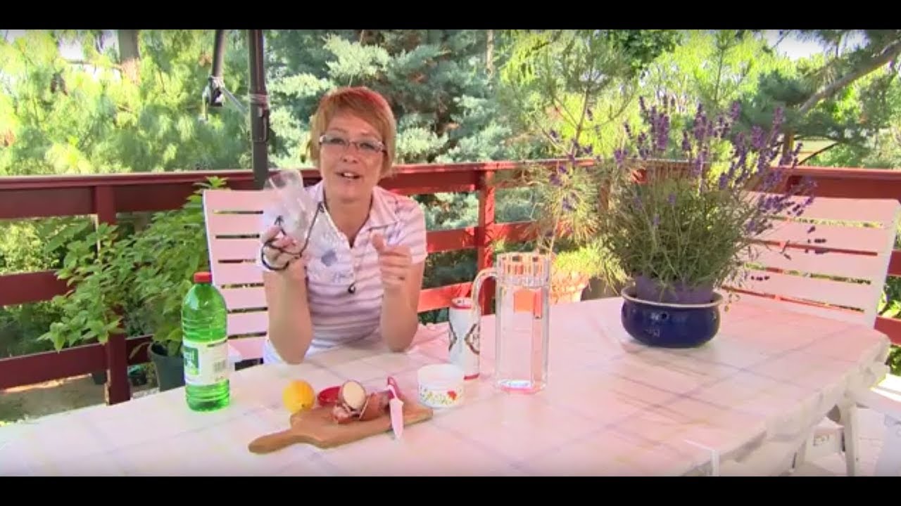 Darazsak irtása, darázscsapda  - Kertbarátok - Kertészeti TV - műsor