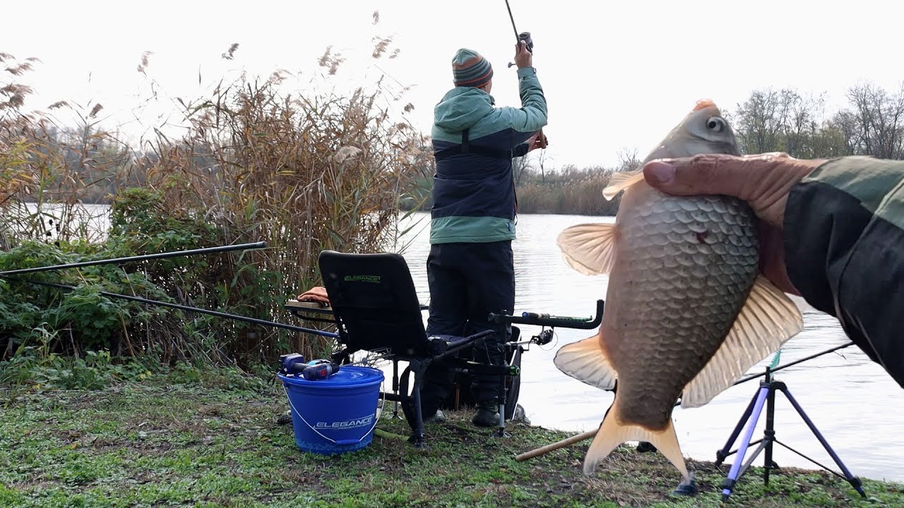 Рыба в камышах 88 метров пришлось кидать фидерным удилищем, там и обитает карась и подлещик