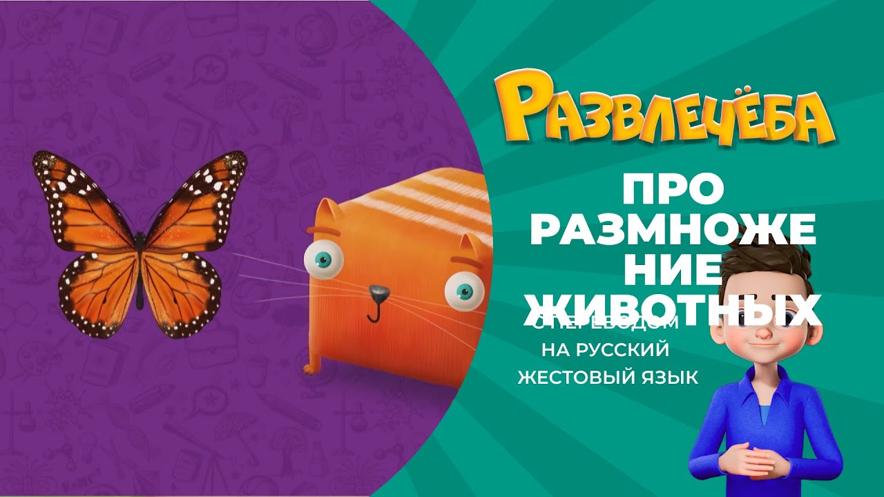 Развлечёба.Окружающий мир.Про размножение и развитие животных. С переводом на русский жестовый язык.