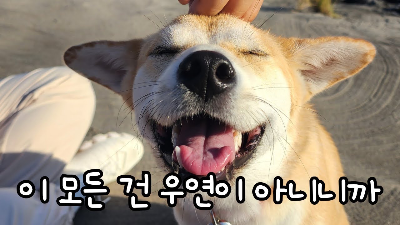 곰순이 탄생의 비밀?