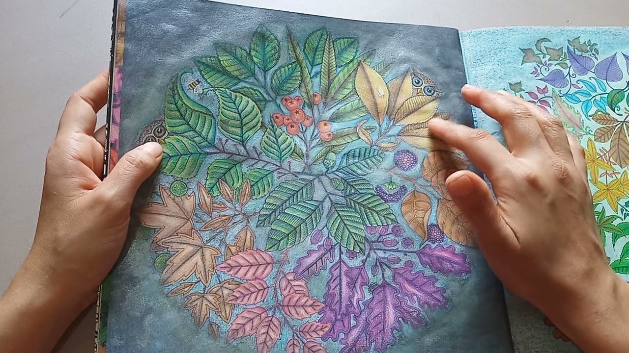 Página a página+ Coloridos do livro Jardim Secreto da Johanna Basford.