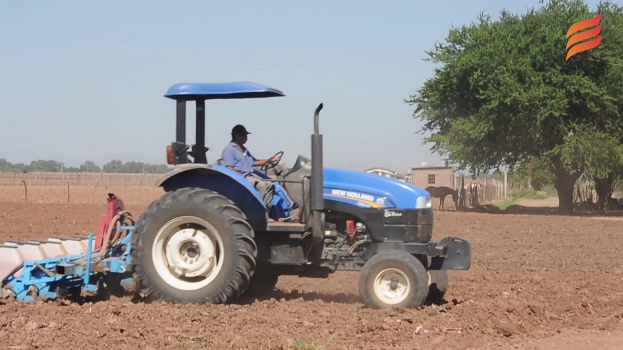 Productores agr&iacute;colas entregar&aacute;n pliego petitorio a AMLO