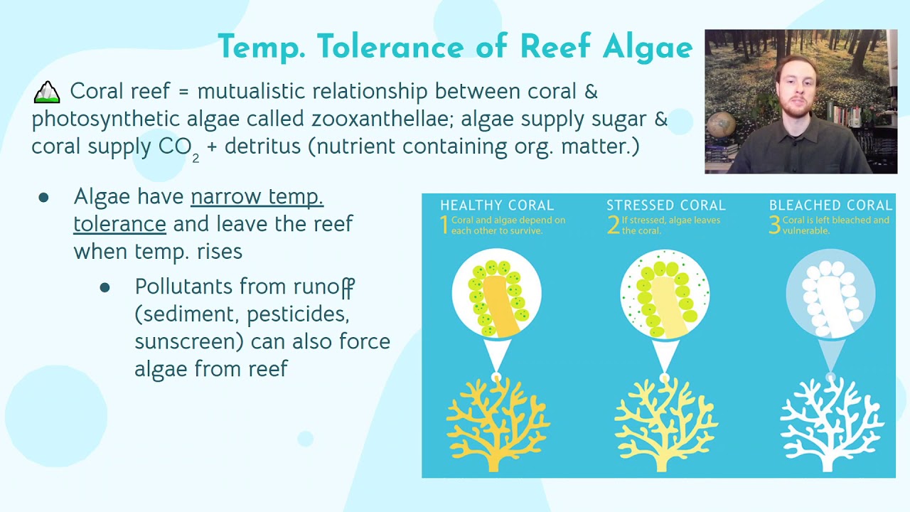 AP Environmental Science 8.2 (pt. 1) - Human Impacts on Ecosystems