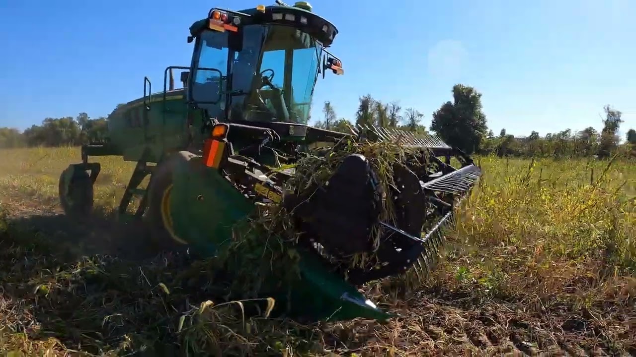 Maquina Haciendo Hileras De Frijol Pinto 