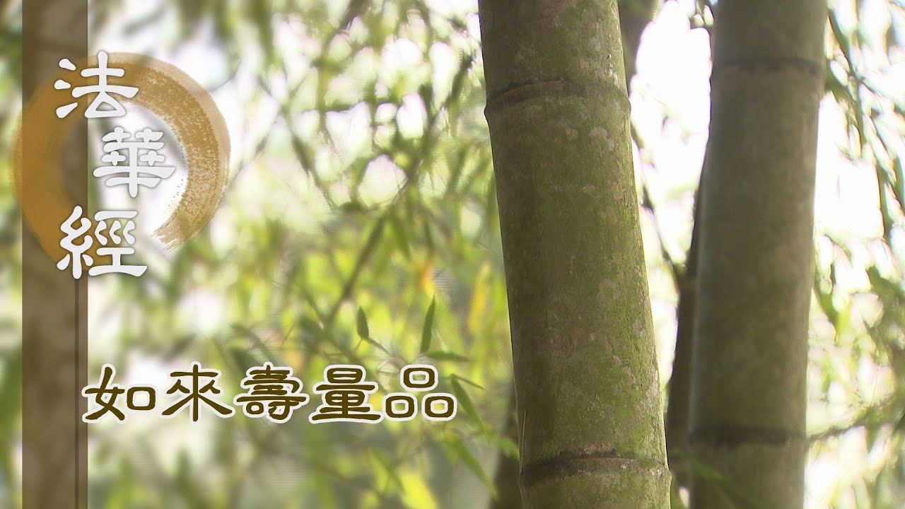【靜思妙蓮華】法華經如來壽量品 - 七覺茂林 道品閣樓 - 20231120 第1549集
