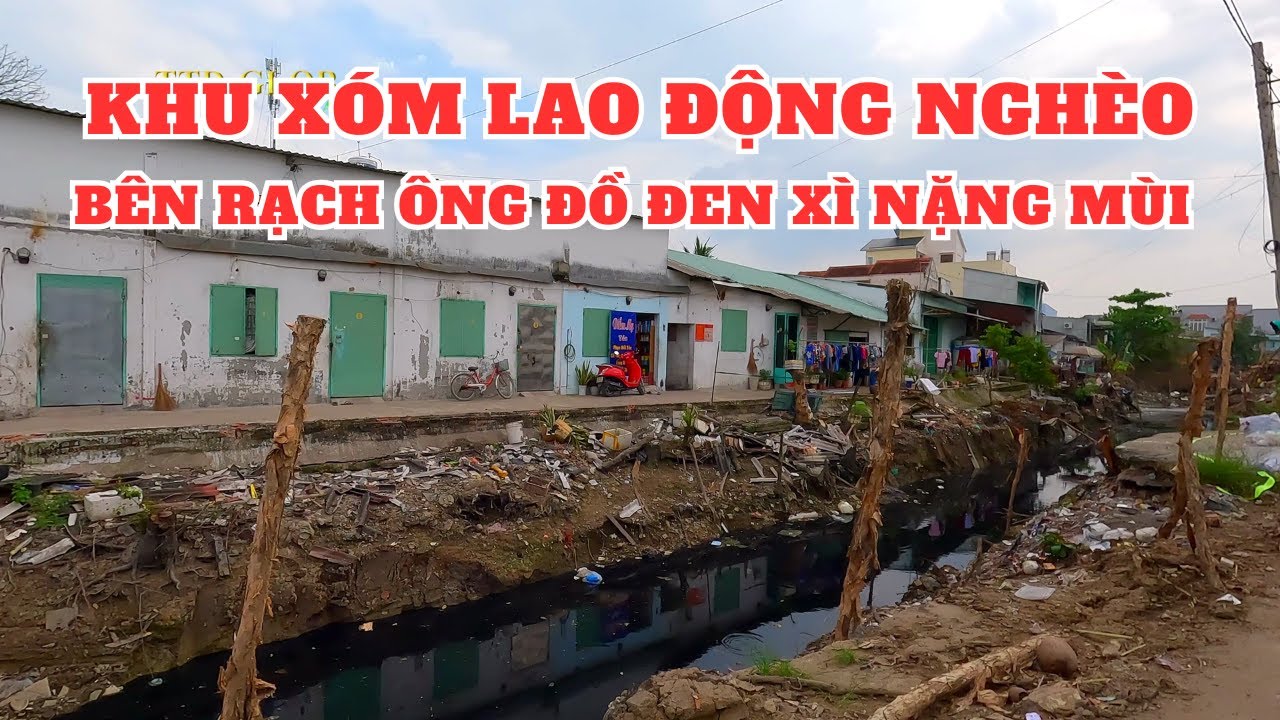 Khám phá xã Bình Chánh Huyện Bình Chánh TP.HCM