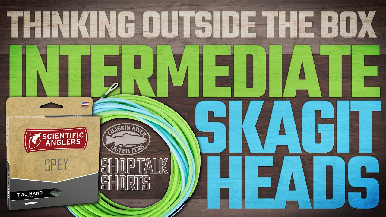 Intermediate Skagit Heads - Thinking Outside The Box With Two Handed Rods - Chagrin River Outfitters