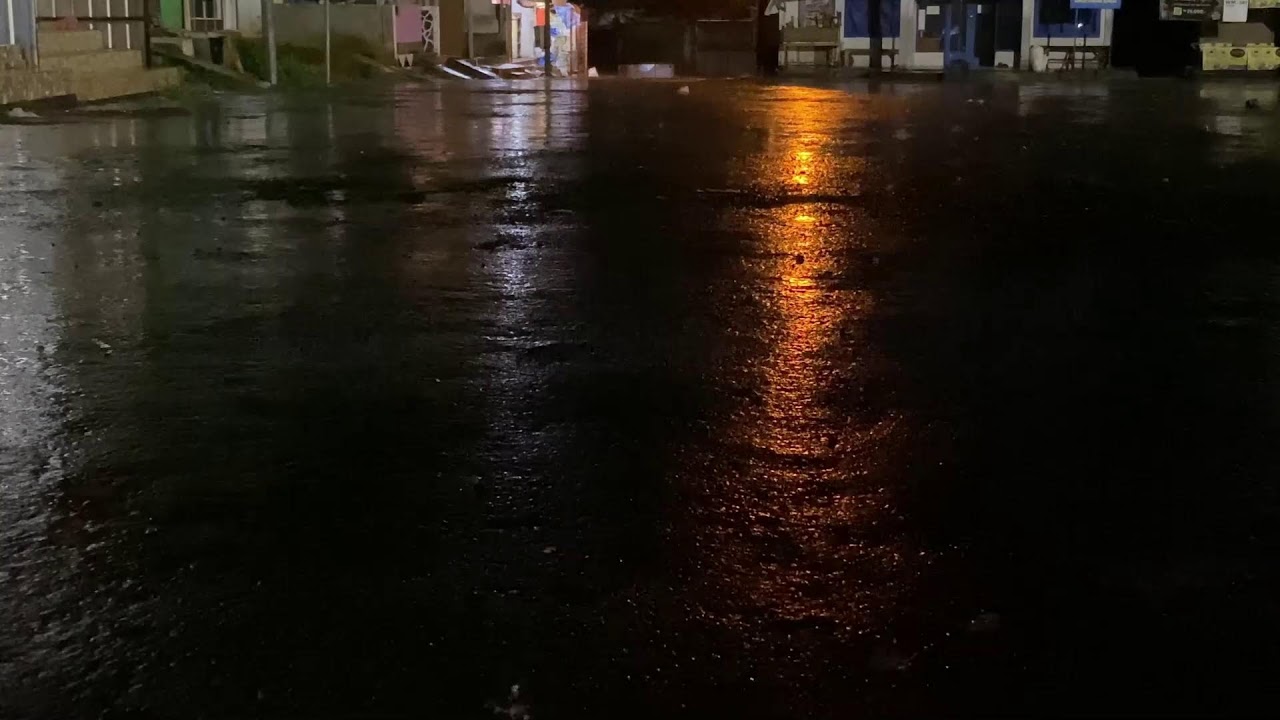 Cozy Autumn Rain │ Deep Sleep White Noise