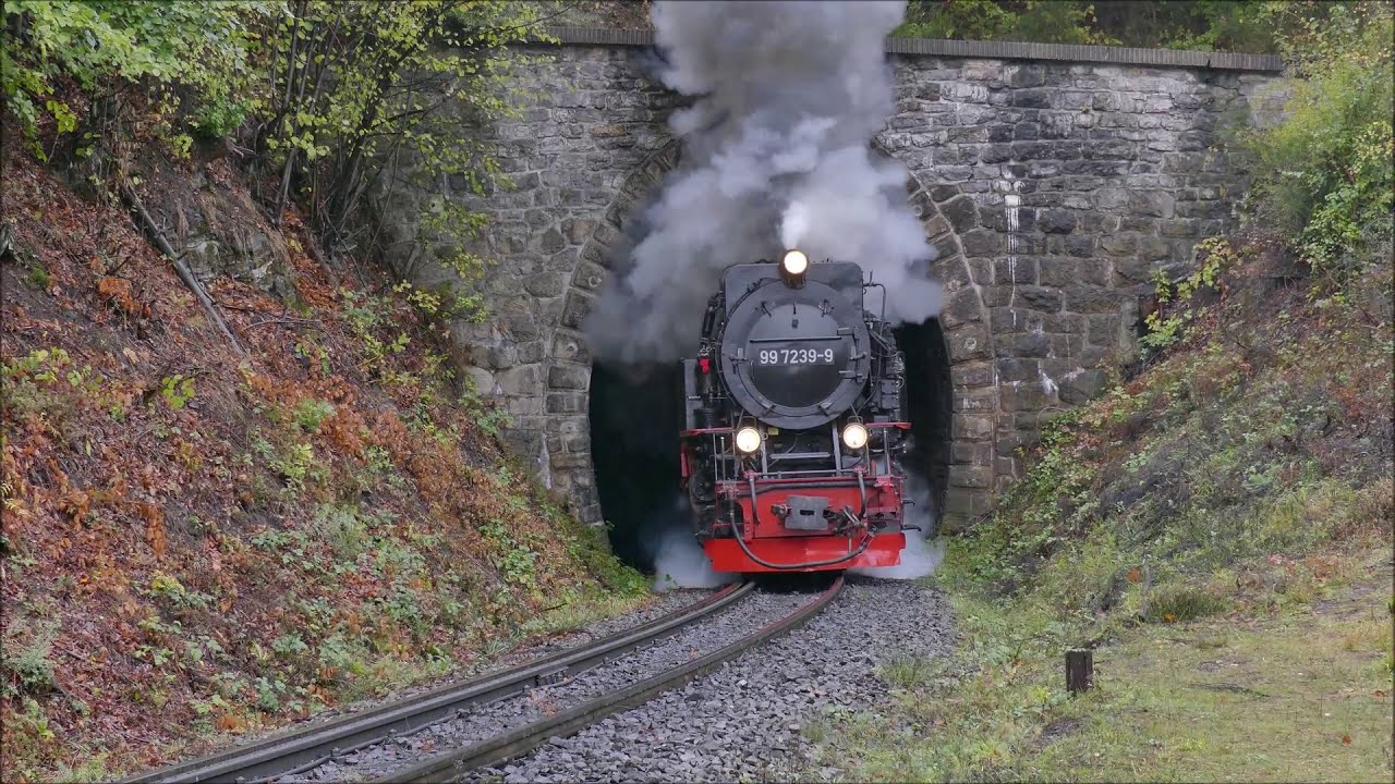 Herbst im Harz - Dampfloks im goldgrauen Oktober