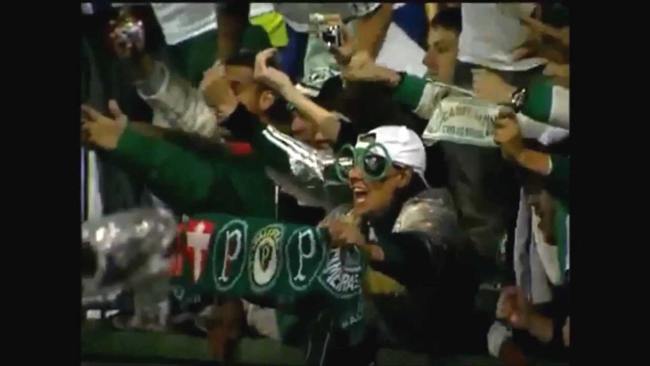Nós sempre acreditamos em você Palmeiras