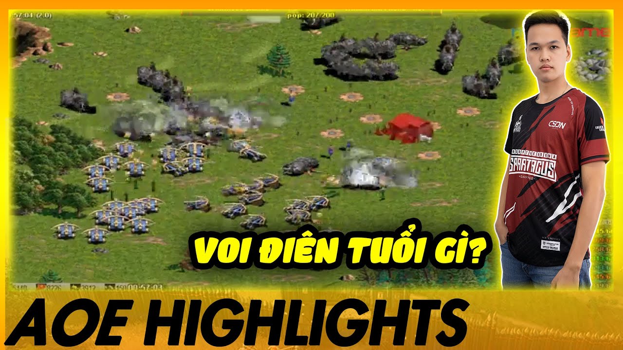 VOI ĐIÊN + Y THẦN - Chim Sẻ Đi Nắng CÂN TẤT CHO NÓ MÁT | AoE Highlights #aoe