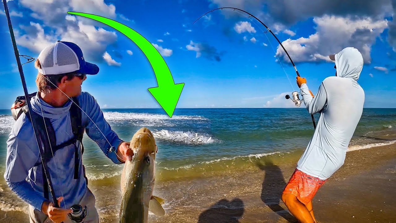 This Public Beach was LOADED with Monster Fish | SNOOKS Everywhere!