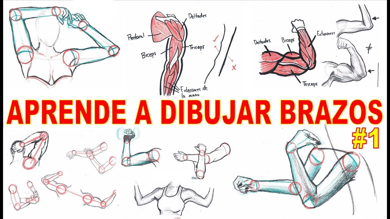 Como DIBUJAR BRAZOS, técnica fácil (GUIA COMPLETA PARA DIBUJAR EL CUERPO HUMANO)