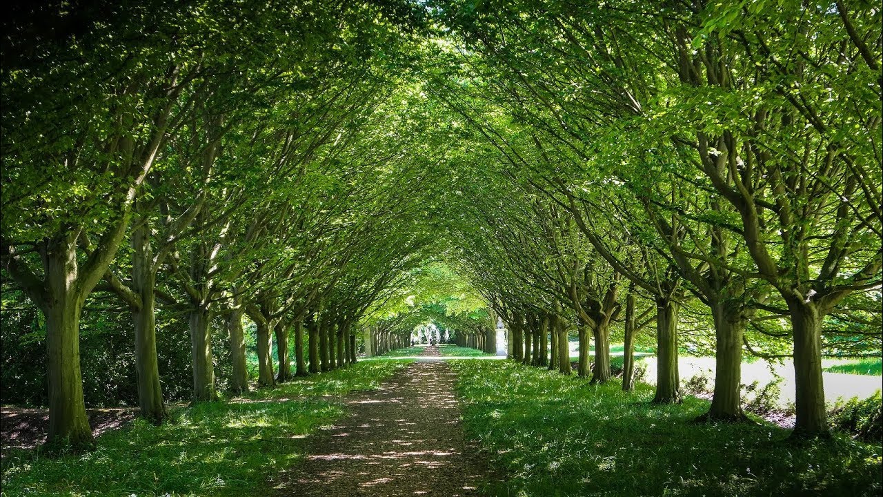 Anglesey Abbey, in Cambridgeshire.