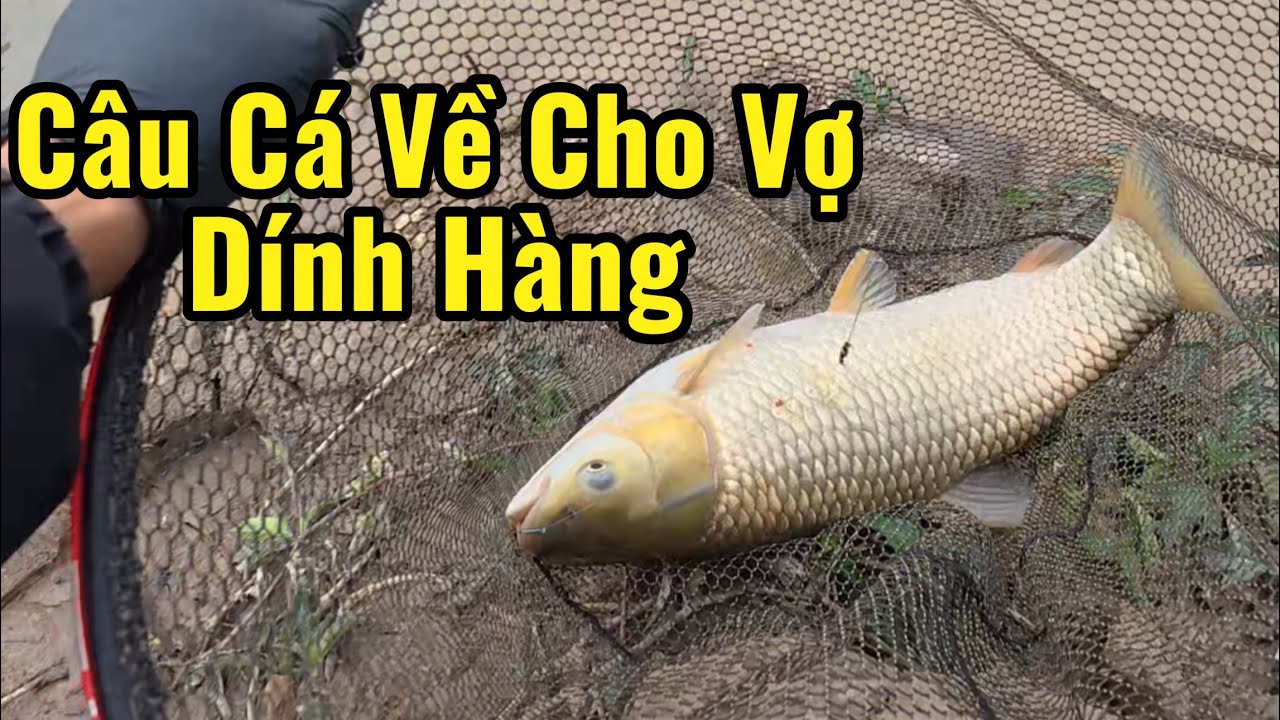 Câu cá về cho vợ