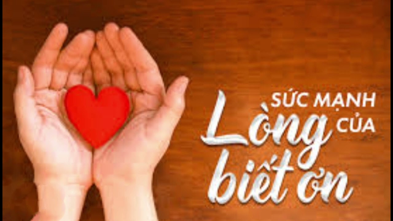 SỨC MẠNH CỦA L&Ograve;NG BIẾT ƠN #anhsang #sứcmạnhtiềmthức