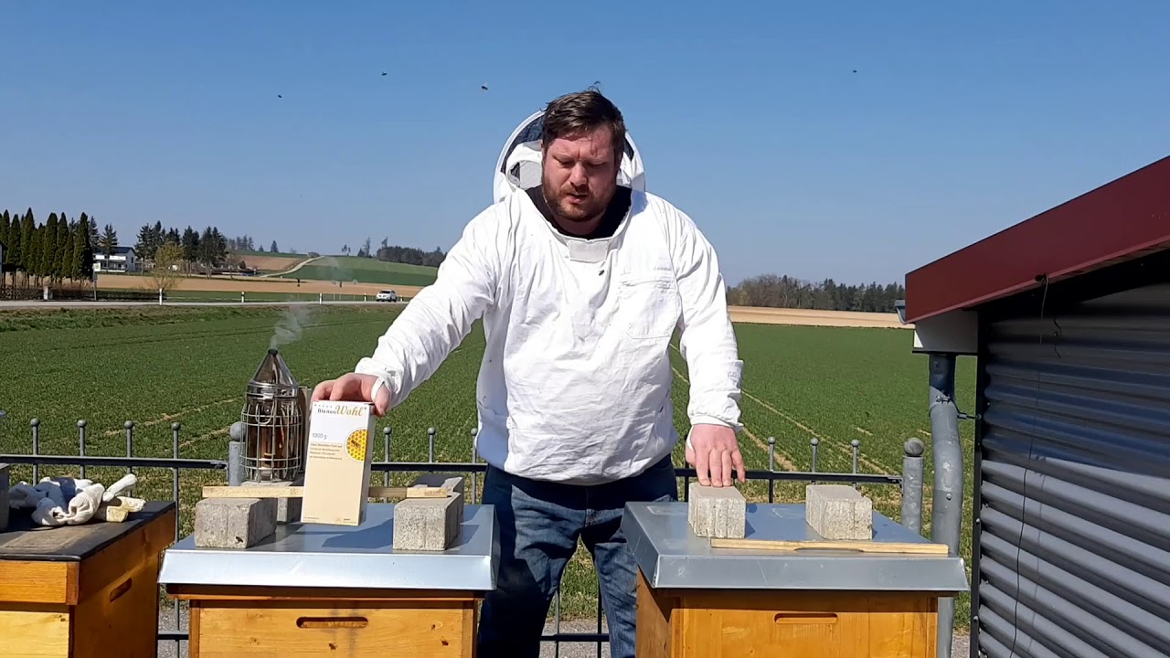 Varroabehandlung mit Bienenwohl