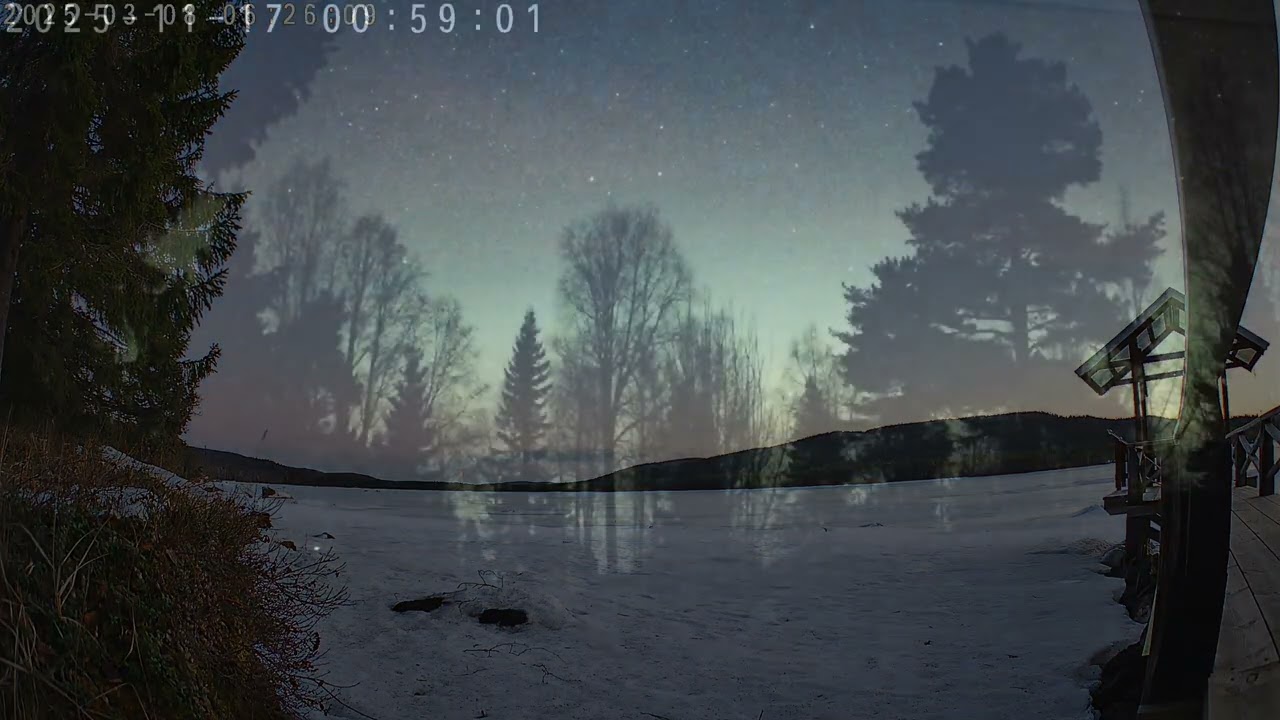 Some of my favorite clips filmed with my Tapo cameras in 2025, Sweden 🇸🇪💚