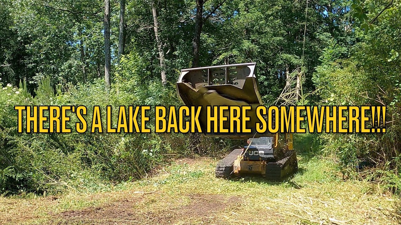 BRUSH CUTTING and MULCHING a NEGLECTED Lakefront Property