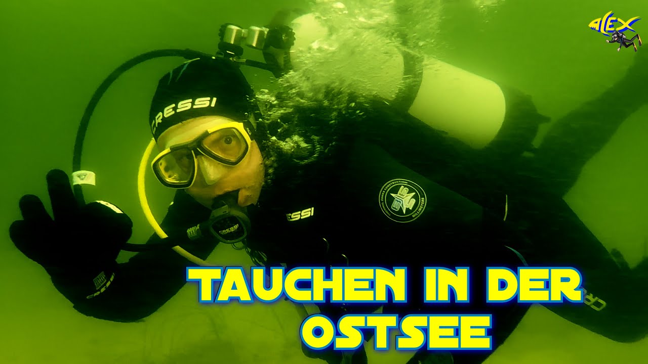 Tauchen in der Ostsee - Eckernförder Bucht Schwedeneck Surendorf