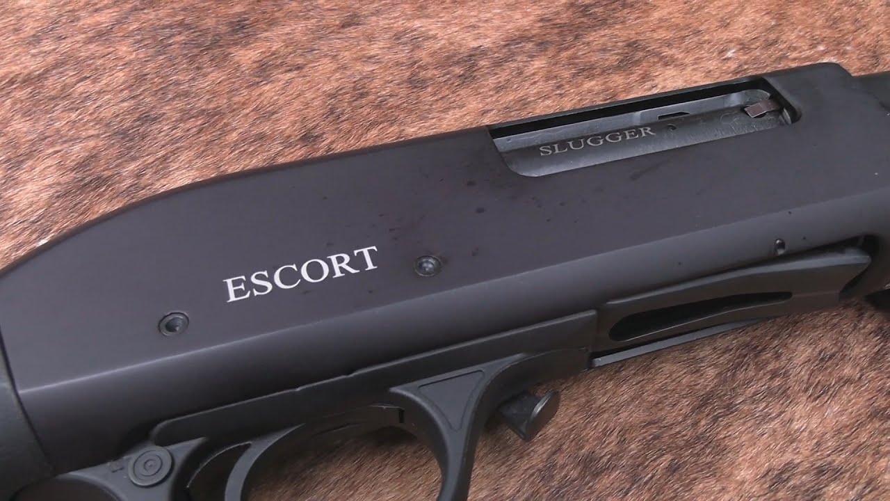 Hatsan Escort Slugfest