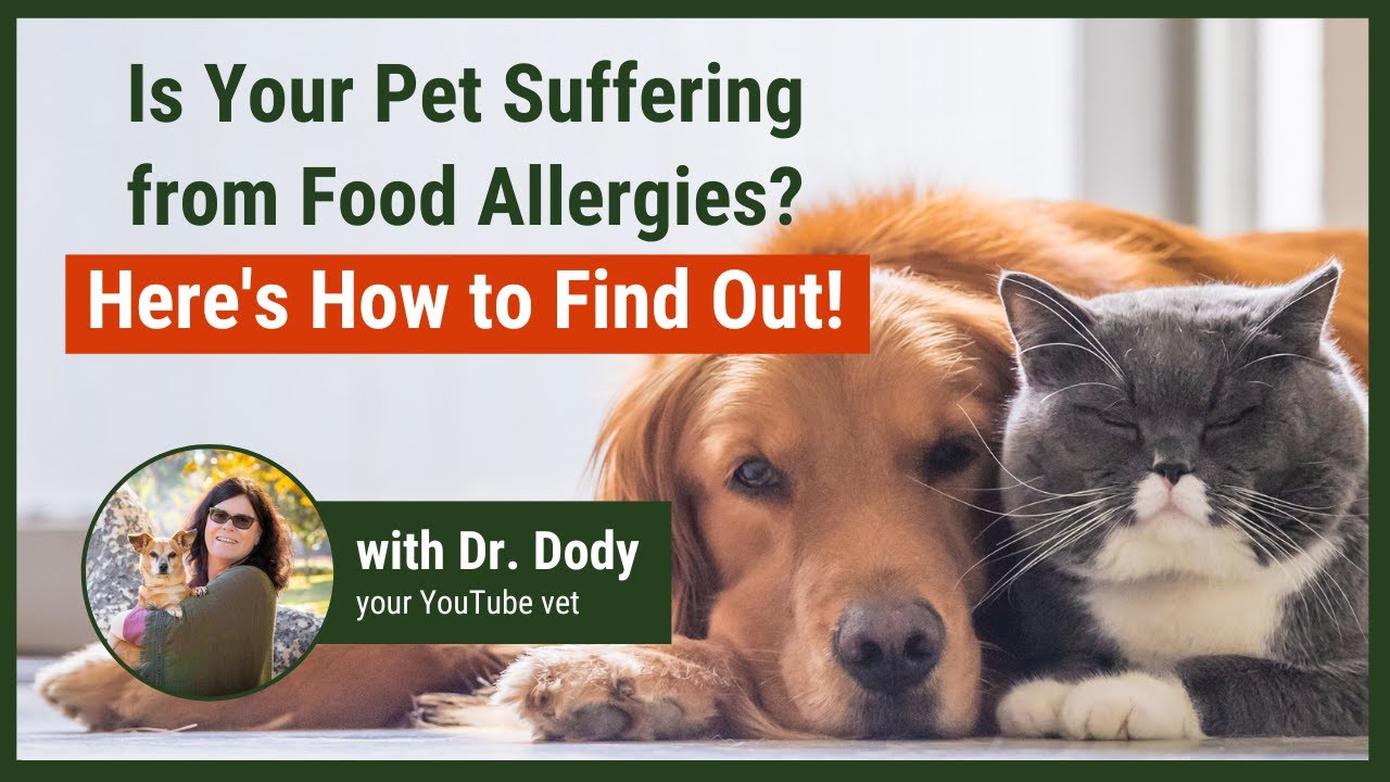 Food Allergy Trial on Pets