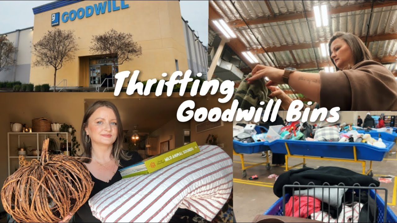 THRIFT with me at the GOODWILL BINS | thrift HAUL & TRY - ON | cheapest finds 