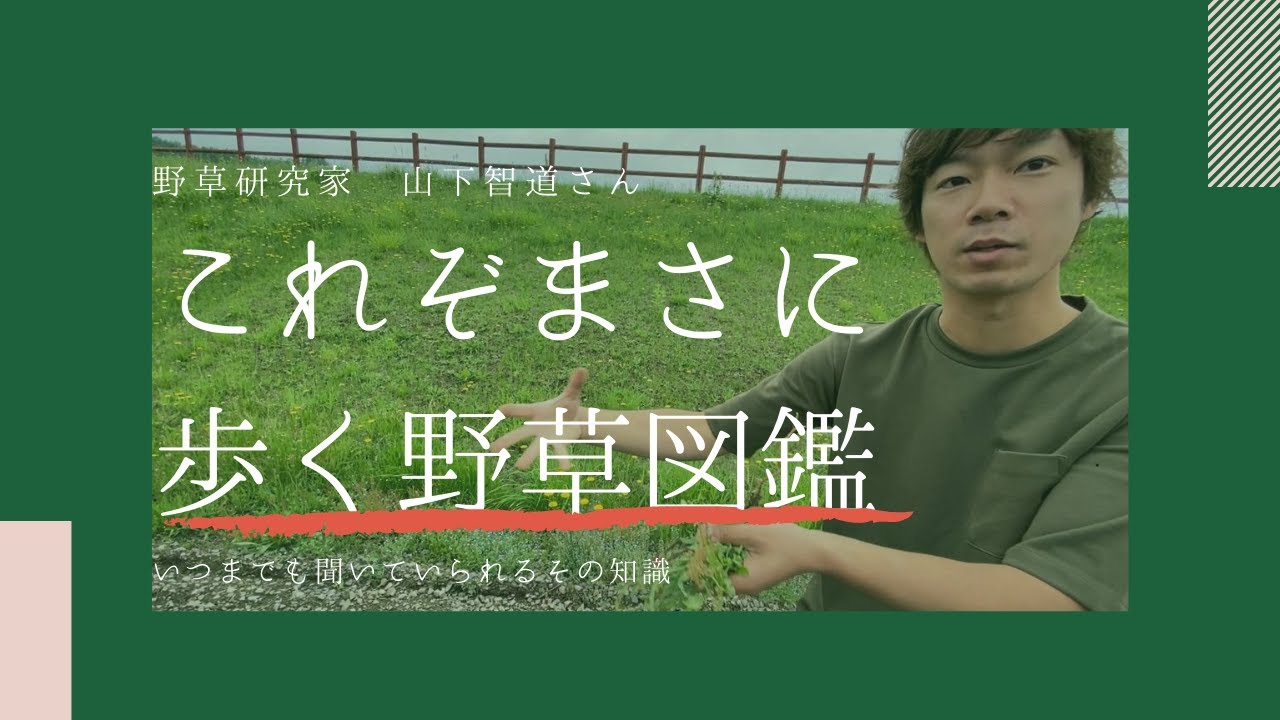 野草研究家として有名な山下智道さんの野草講座に同行！ガーデニングで天敵のあの雑草達は、実は・・・？