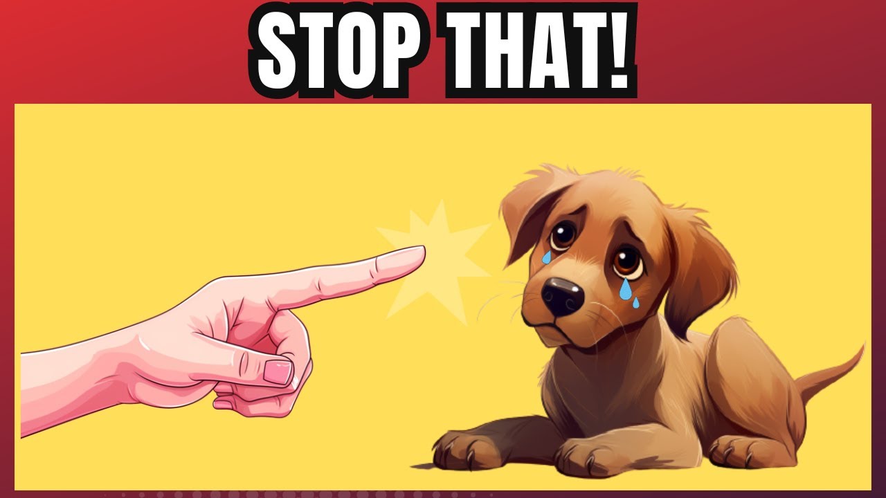 17 Ways You Are Hurting Your Dog Without Realizing