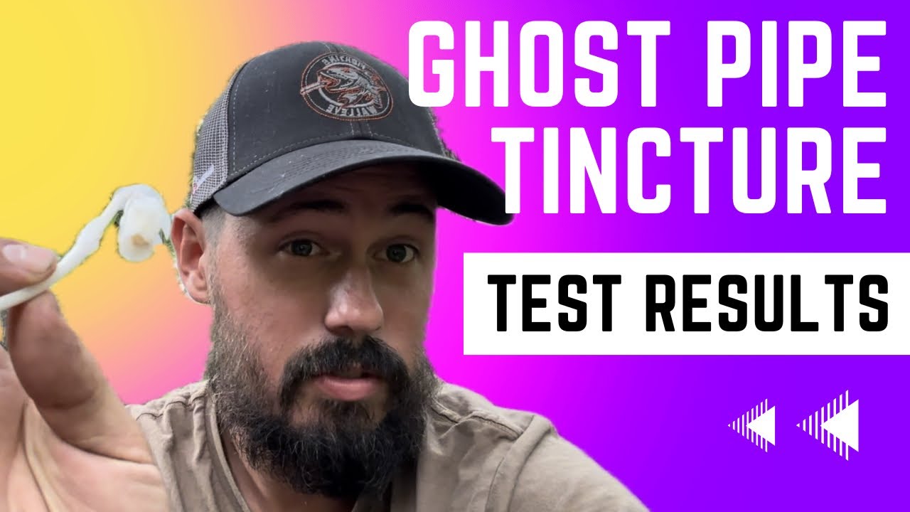 Testing Ghost Pipe Tincture Results - Homemade Natural Medicine MAX DOSE! #indianpipe #ghostpipe