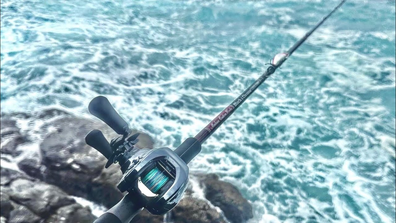サラシの中はお魚天国ヒラスズキを狙って。