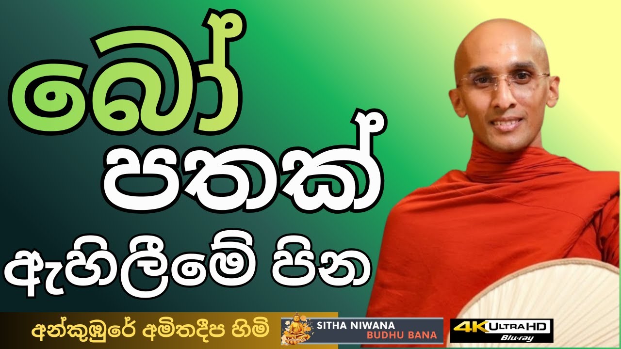 Ankumbure Amitha Deepa Himi Best New Sinhala #mahamevnawa Dharma Deshana | බෝ පතක් ඇහිලීමේ පින