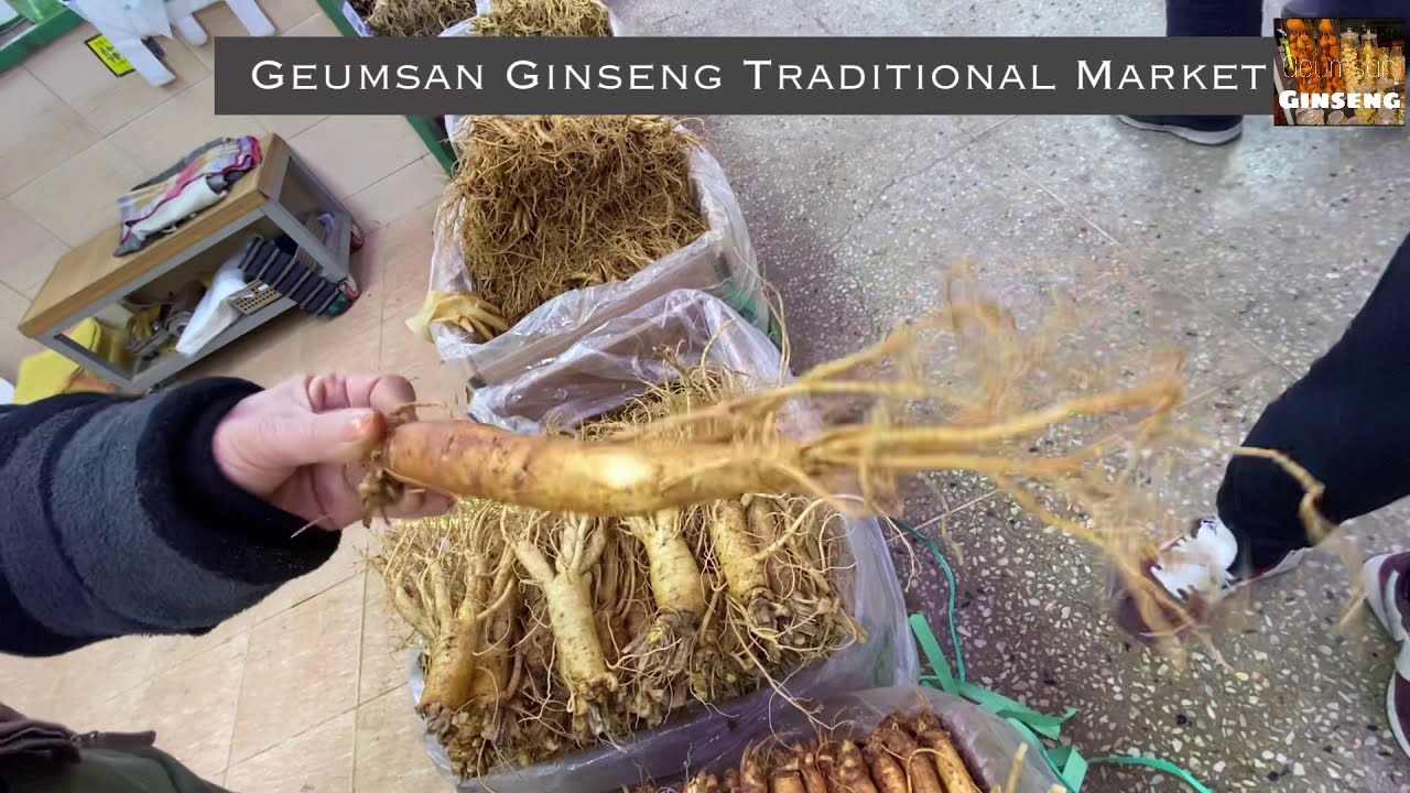 Ginseng Market in Geumsan | Korean New Year | JeRieSeo