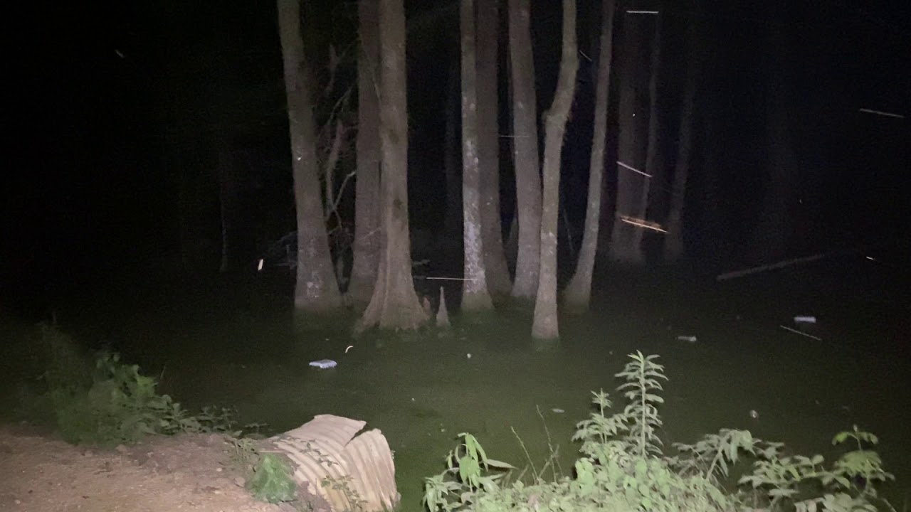 Haunted Bear Creek Swamp in Alabama at night!